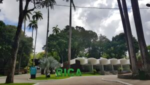 Zoológico na PB onde jovem morreu atacado por leoa reabre para o público nesta quinta-feira (18)