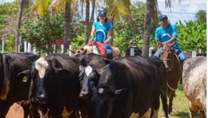 Fundação Bradesco abre 35 vagas gratuitas para curso técnico em Agropecuária na unidade de Garanhuns.
