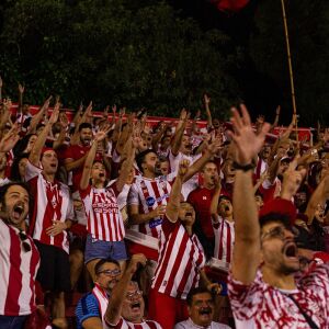 image para ilustrar o artigo