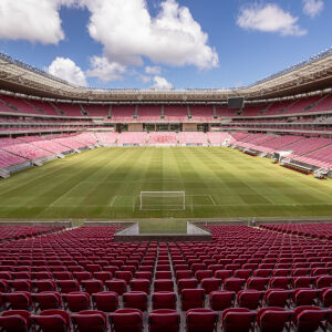 image para ilustrar o artigo