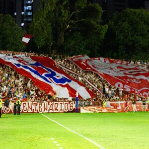 image para ilustrar o artigo