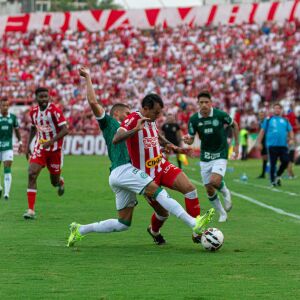 image para ilustrar o artigo