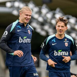 image para ilustrar o artigo