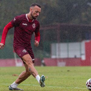 image para ilustrar o artigo