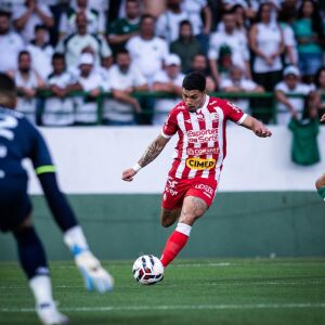 image para ilustrar o artigo