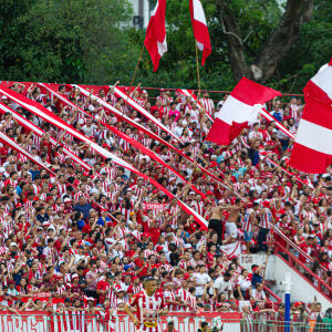 image para ilustrar o artigo