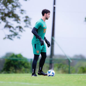 image para ilustrar o artigo