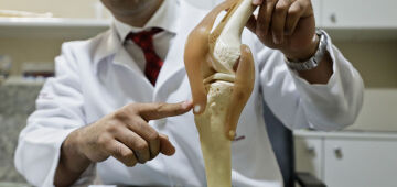 Enfraquecimento ósseo não é novidade: análise de esqueletos revela origem ancestral da fragilidade