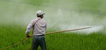 Ministério da Agricultura fecha fábrica clandestina de fertilizantes e agrotóxicos