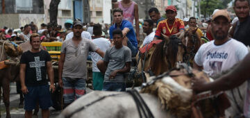 Recife inicia nova rodada de cadastramento para carroceiros na próxima terça (18); veja calendário