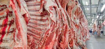 Carnes: EUA farão auditoria em maio no sistema de sanidade pecuária brasileiro