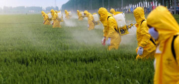 Campanha denuncia agronegócio por contaminações com uso de agrotóxicos