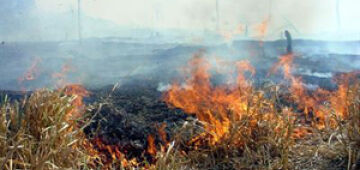 Equador registra mais de 1.300 incêndios florestais em menos de um mês