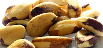 Farinha de castanha-do-Pará é 60% mais proteica que a de trigo, mostra novo estudo da Embrapa