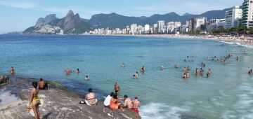 Elefante-marinho vira atração de surfistas e banhistas no Rio
