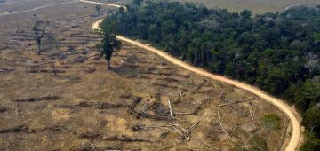 "Temos dificuldades para respirar", lamentam afetados por fumaça das queimadas em Rondônia