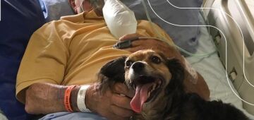Internado com Covid-19, idoso reencontra cachorrinha de estimação em despedida emocionante