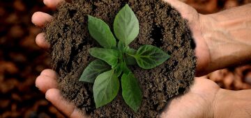 Agenda 2021 – ESG