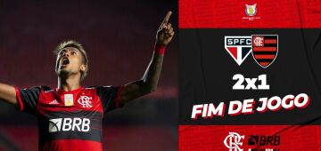 Mesmo com derrota, Flamengo é campeão brasileiro da Série A