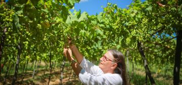 Lagoa Grande é um convite para os apreciadores de vinho