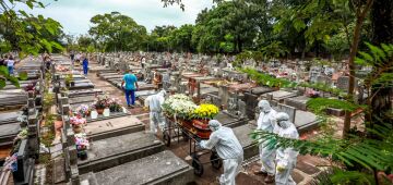 Brasil teria evitado pelo menos 5.000 mortes com oferta inicial da Pfizer, diz pesquisador