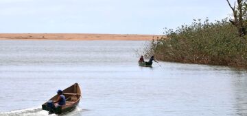 Mariana: pesquisadores encontram metais tóxicos em peixes do Rio Doce
