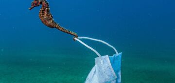 Brasil lança por ano 1,3 milhão de toneladas de plástico no oceano