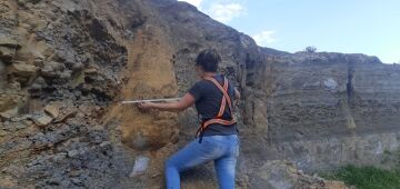 Pesquisadora descobre floresta fossilizada de 290 milhões de anos