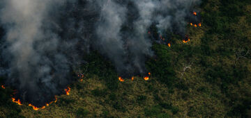 Amazônia: cientistas pedem "revogaço" de decretos e retomada de programa antidesmate