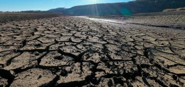 Estradas rachadas e rios secos, os efeitos da onda de calor na Europa. Veja fotos