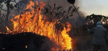 Incêndios na Amazônia legal batem recorde para um primeiro semestre em 20 anos