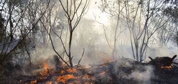 Quase 1/4 do território brasileiro pegou fogo nos últimos 40 anos