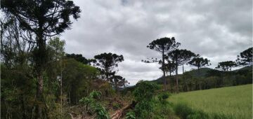 Amcham reúne R$ 38,8 bi em projetos de investimento sustentável pelo meio ambiente no Brasil