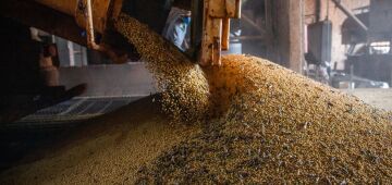 Balança comercial tem superávit recorde de US$ 8,776 bi em novembro