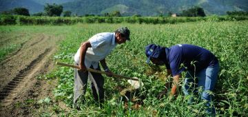 Financiamento pelo BNB para aquisição de imóvel rural cresceu 36% no primeiro trimestre