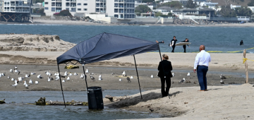 Corpo é encontrado em barril na suntuosa praia de Malibu, nos EUA