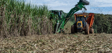 Biomassa: eficiente, versátil e sustentável 