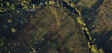 Parque da Chapada dos Veadeiros é fechado por conta de incêndio