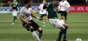 Botafogo x Palmeiras: veja horário e onde assistir ao jogo da Libertadores