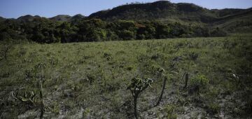 Cerrado: desmatamento emite 135 milhões de toneladas de CO2 desde 2023