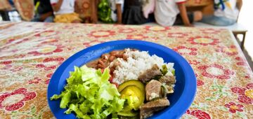 Câmara aprova projeto de compra de alimentos para merenda escolar