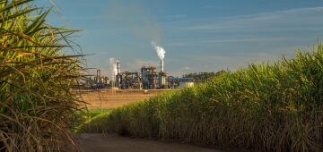 Agro segurou economia em 2025, mas produtor deve enfrentar ano difícil em 2026, diz CNA