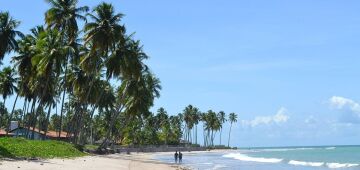 TJPE promove Juizado do Verão a partir deste sábado (27)