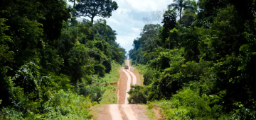 Amazônia: degradação afeta área três vezes maior que desmatamento