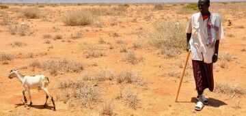 COP30: WCF anuncia janela de investimentos para adaptação climática na África