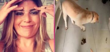 Bruna Surfistinha é indiciada por maus-tratos a animais