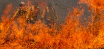 Incêndios podem ter degradado 9% do Pantanal nos últimos cinco anos