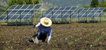 Energia solar no campo ganha força