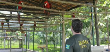 Servidores do meio ambiente decidem entrar em greve no dia 24