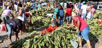  32ª Feira do Milho do Cabo de Santo Agostinho acontece neste final de semana